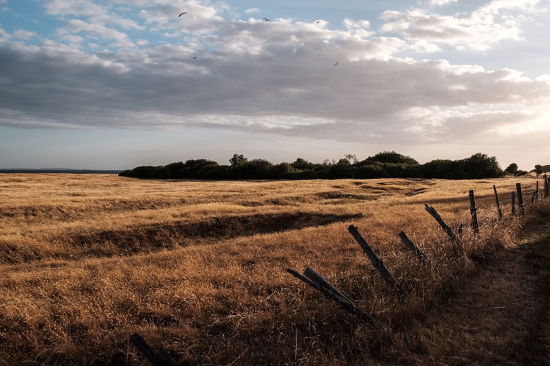 Mastrupvej, Sejerø