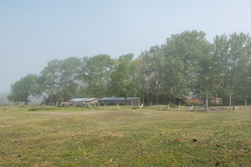 Sejerø havgus