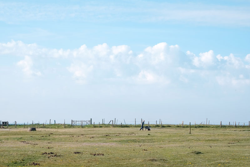 Henry med trillebør, Sejerø